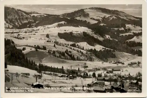 Oberstaufen, Allgäu, Skiabfahrt zw. Steibis-Hochfluh ins Weissachtal -340516