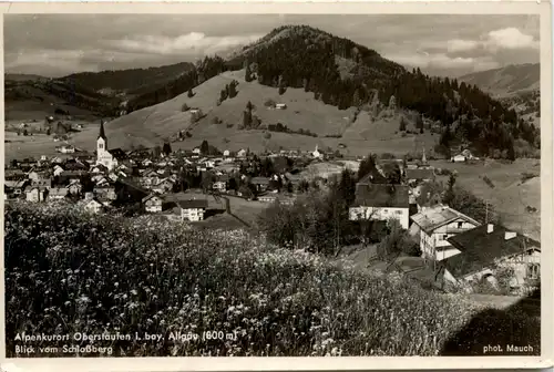 Oberstaufen, Allgäu, Blick vom Schlossberg -340526