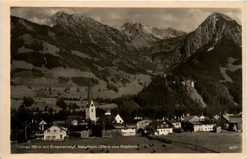 Fischen im Allgäu mit Entschenkopf, Nebelhorn und Rubihorn -340544