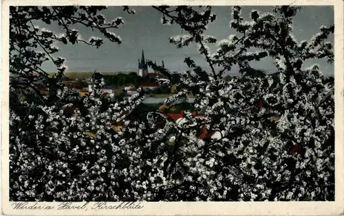 Werder an der Havel - Kirschblüte -69800