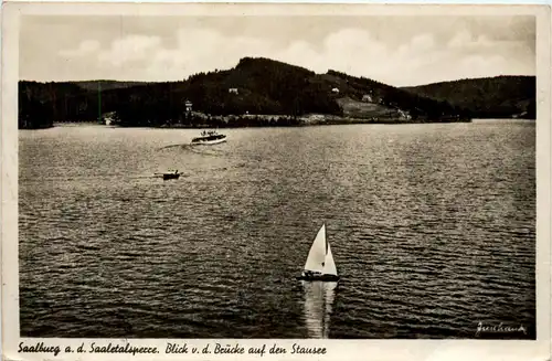 Die Saaletalsperre, Saalburg, Blick v.d. Brücke auf den Stausee -341382