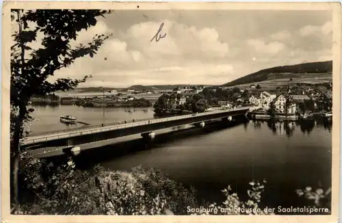 Saaletalsperre, Am Ufer bei Saalburg -341442