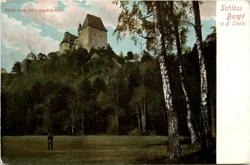 Burgk, Schloss Burgk an der Saale, Blick vom Birkenwäldchen -341156