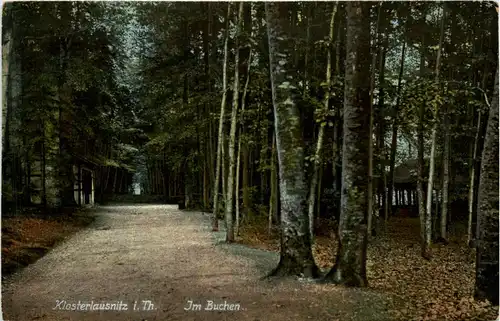 Klosterlausnitz, Im Buchen -341296