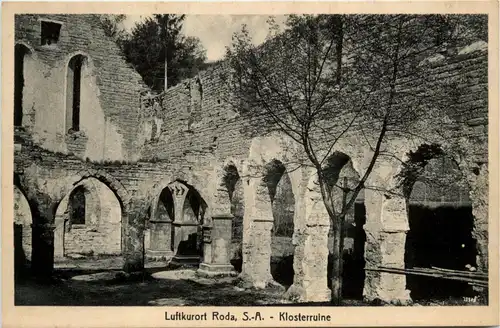 Luftkurort Stadtroda, Klosterruine -341184