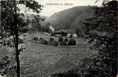 Eisenberg, Walkmühle im Mühltal -341226
