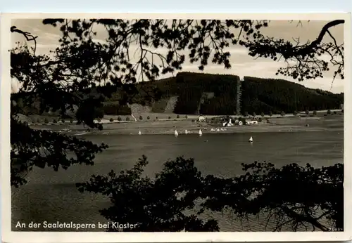 Die Saaletalsperre, bei Kloster -341404