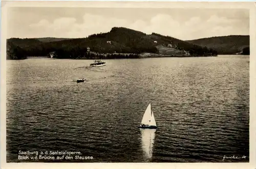 Die Saaletalsperre, Saalburg, Blick v.d. Brücke auf den Stausee -341346