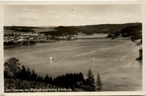 Saalburg, Am Stausee der Bleilochsperre -341486