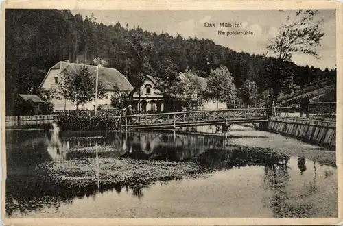 Das Mühltal, Naupoldsmühle -342202