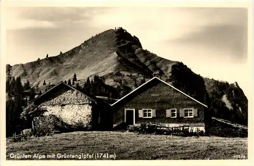 Grünten-Alpe mit Grüntengipfel -341546