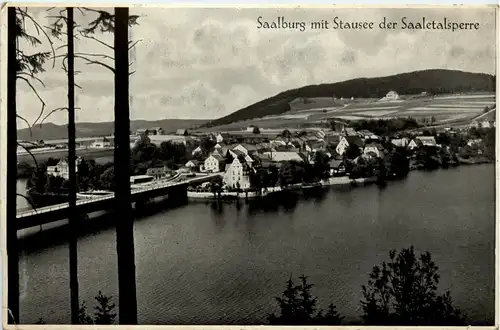 Die Saaletalsperre, Saalburg, Am Stausee -341378