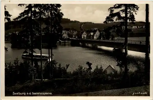 Die Saaletalsperre, Saalburg, Am Stausee -341398