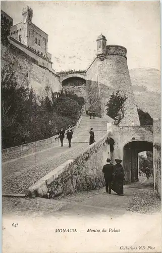 Monte-Carlo - Montee du Palais -39168