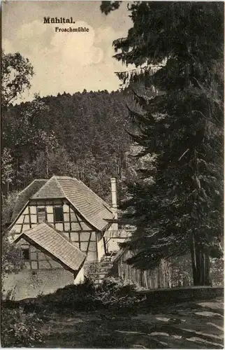 Froschmühle im Mühltal - Eisenberg -342234