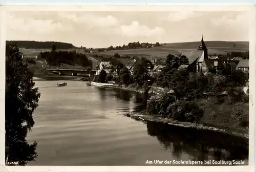 Saaletalsperre, Am Ufer bei Saalburg -341440