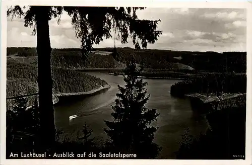 Die Saaletalsperre, Ausblick am Luxhäusel -341460