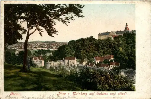 Gera, Blick vom Weinberg auf Schloss und Stadt -341938