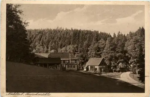 Froschmühle im Mühltal - Eisenberg Klostrlausnitz -342058