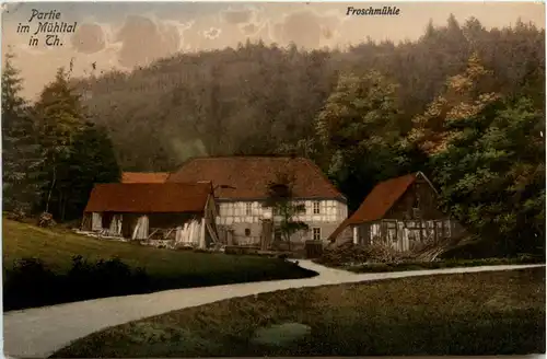 Froschmühle im Mühltal - Eisenberg Klostrlausnitz -342078