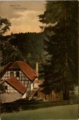 Eisenberg, Froschmühle, Mühltal -342118