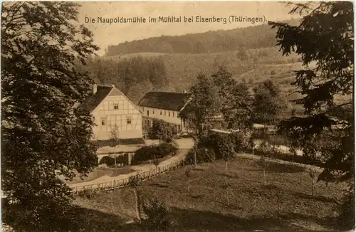 Mühltal bei Eisenberg, Naupoldsmühle -342050