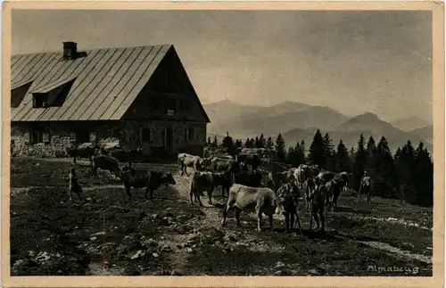 Allgäuer Alpen, Seealpe, Almabzug -342926