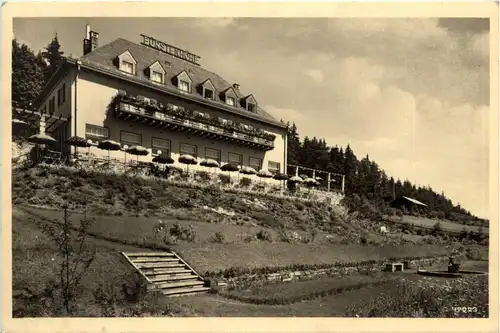 Saalburg am Stausee, Hotel und Kurhaus Fürstenhöhe -342300