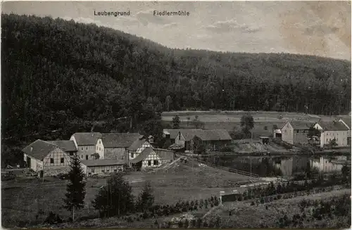 Leubengrund, Fiedlermühle -344716