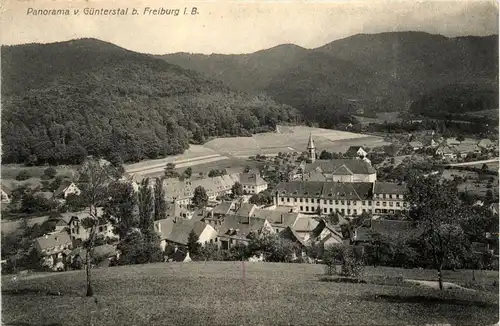 Freiburg i.Br., Günterstal -343578