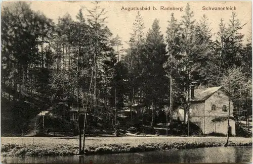 Augustusbad, Schwanenteich -344574