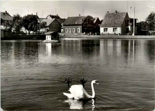 Gräfinau-Angstedt, Am Torteich -343390
