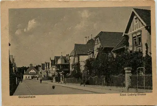 Gonsenheim, Ernst Ludwig-Strasse -345276