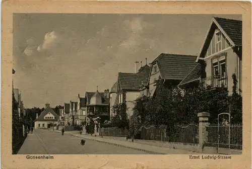 Gonsenheim, Ernst Ludwig-Strasse -345274