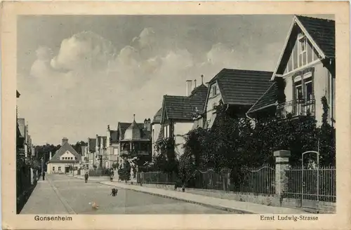 Gonsenheim, Ernst Ludwig-Strasse -345272