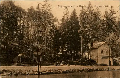 Augustusbad, Schwanenteich -344580