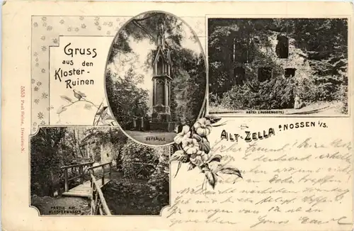 Gruss aus den Kloster Ruinen Alt-Zella bei Nossen -413160