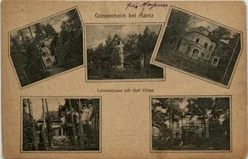 Gonsenheim, Luisenstrasse mit fünf Villen -345258