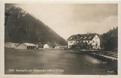 Achensee, Seespitz -346402