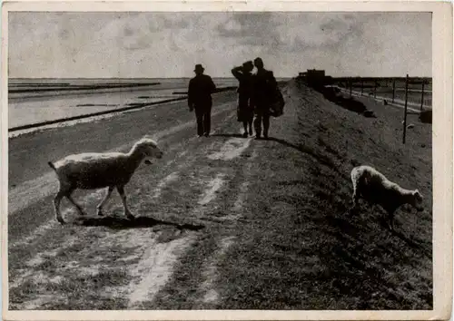 Husum - Partie am Deich -414032