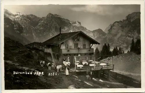 Bärenbad Alpe -346280