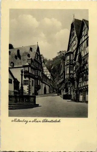Miltenberg am Main - Schnatterloch -41476