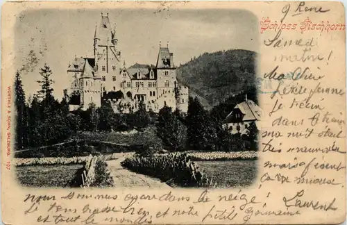 Zell am See, Schloss Fischhorn -347692