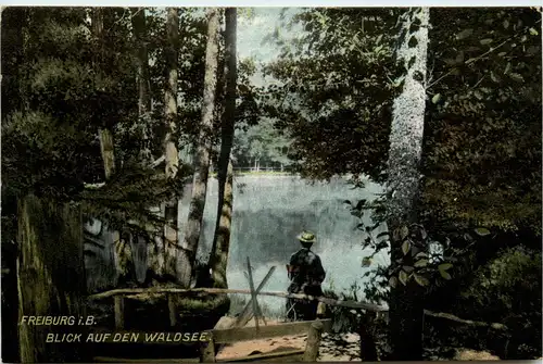 Freiburg i.Br., Blick auf den Waldsee -348250