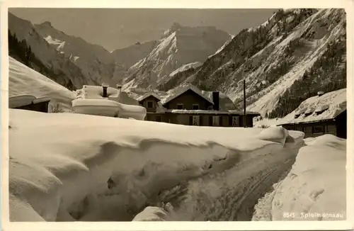 Oberstdorf, Spielmannsau mit Trettachspitze -348696