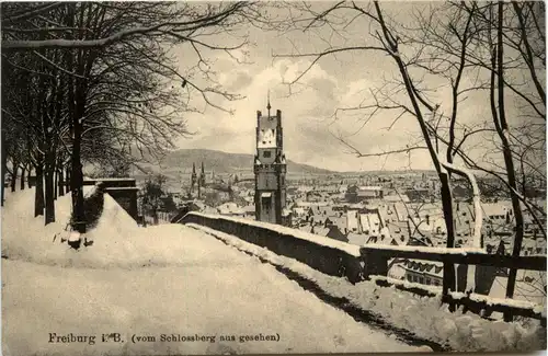 Freiburg i.Br., vom Schlossberg aus gesehen -348220