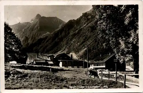 Oberstdorf, Spielmannsau mit Trettachspitze -348698