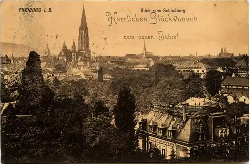 Freiburg i.Br., Blick vom Schlossberg -348300