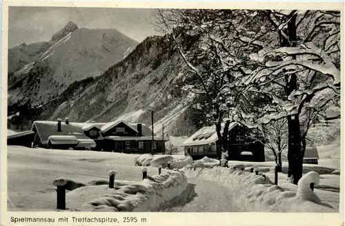 Oberstdorf, Spielmannsau mit Trettachspitze -348758