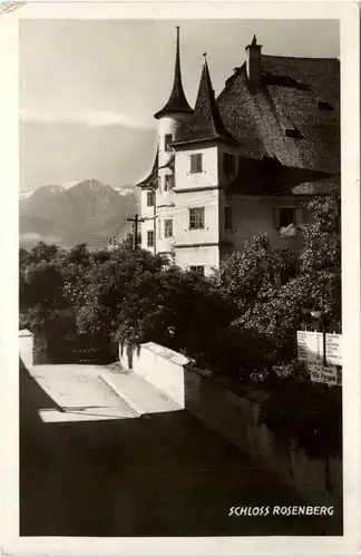 Zell am See, Schloss Rosenberg -347570